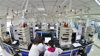 縱深 河北藥企 瞄準(zhǔn)從0到1的創(chuàng)新